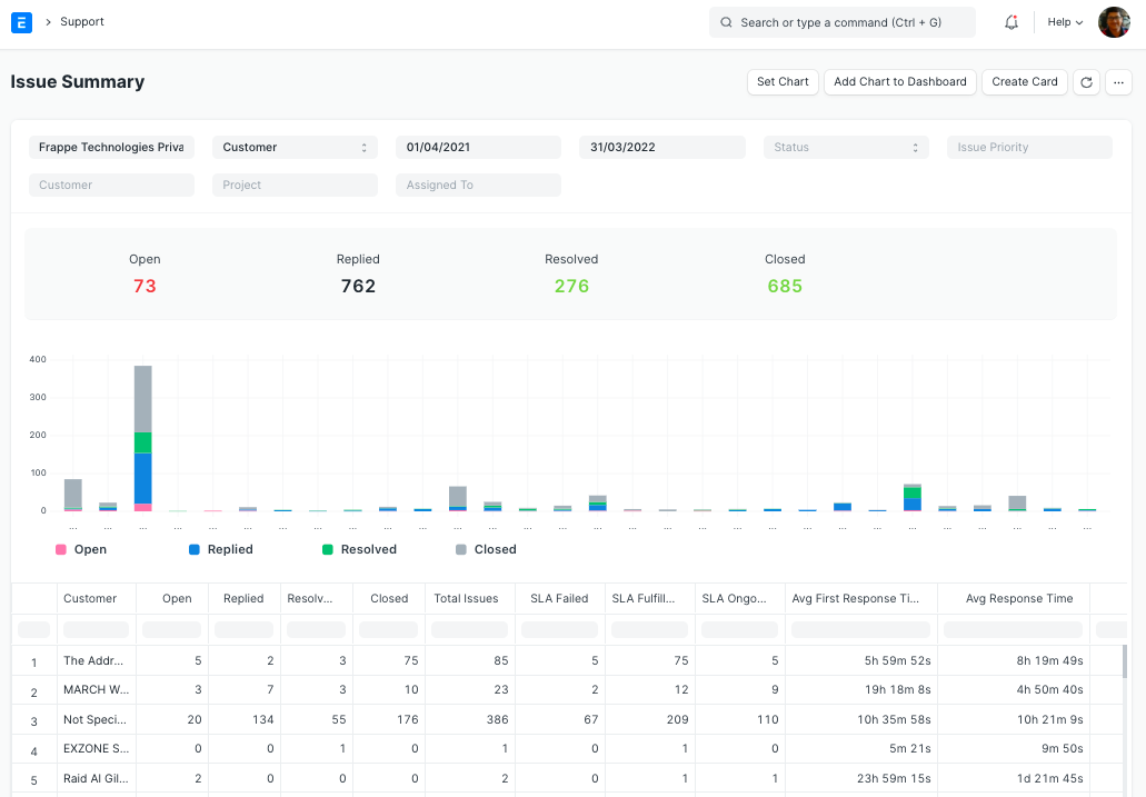 issue summary report