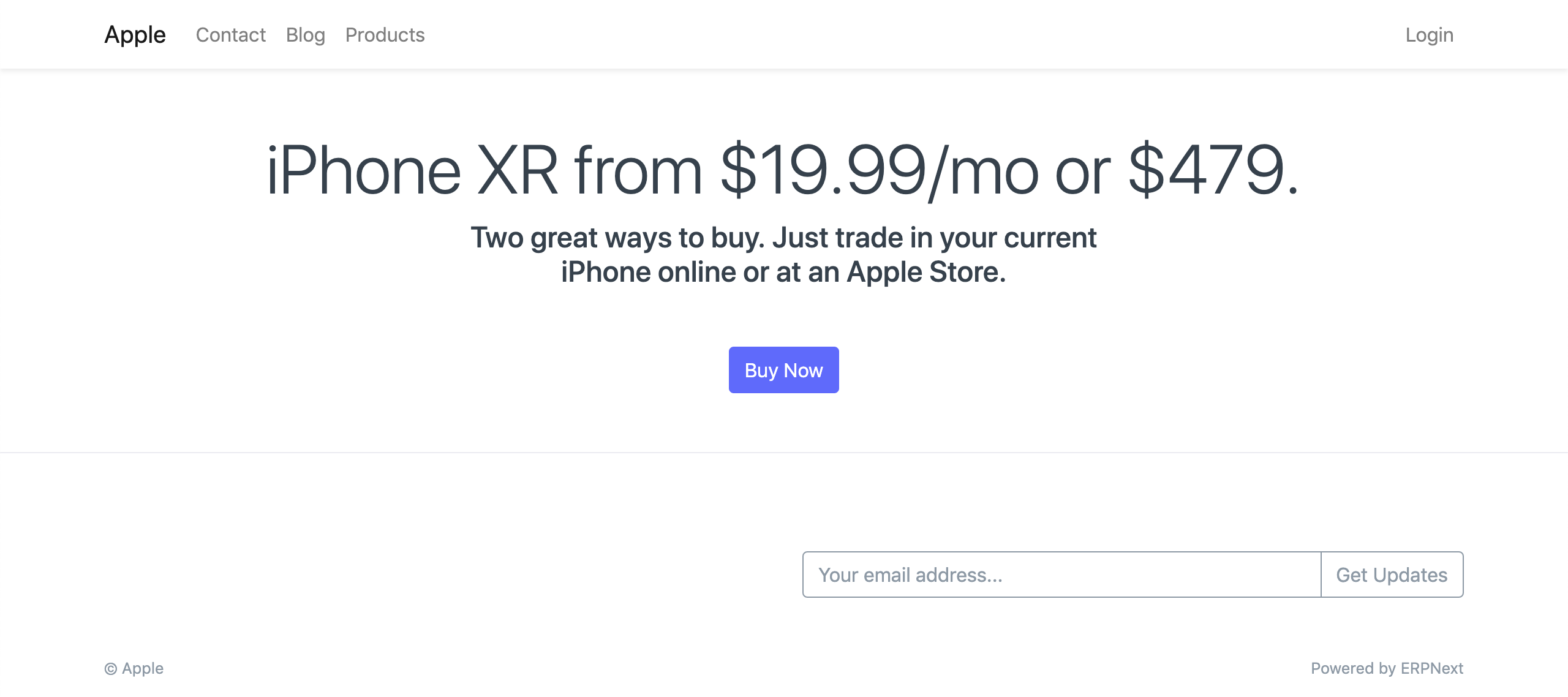 website homepage custom